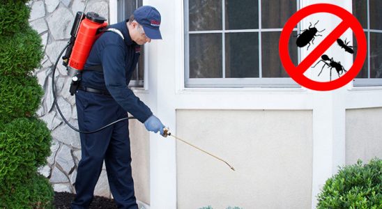 Eflani Kene İlaçlama böcek ilaçlama ve haşere kontrolü — ilaclama-tr.com